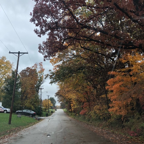 Meet your Posher, Abby - Picture 1 of 1